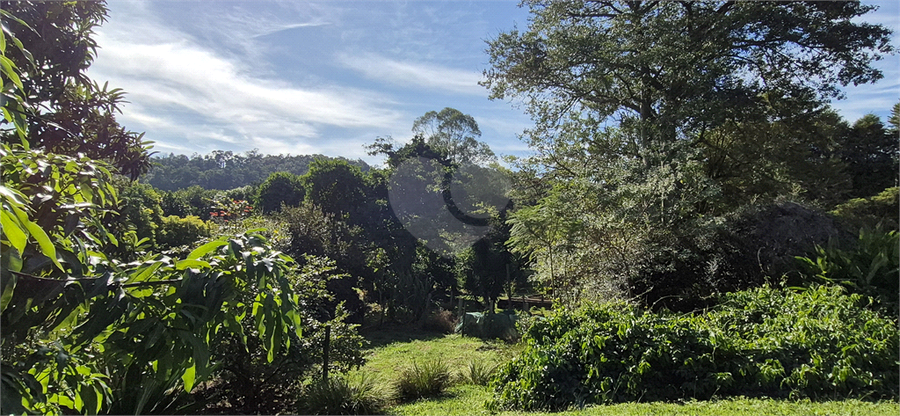 Foto REO1097705