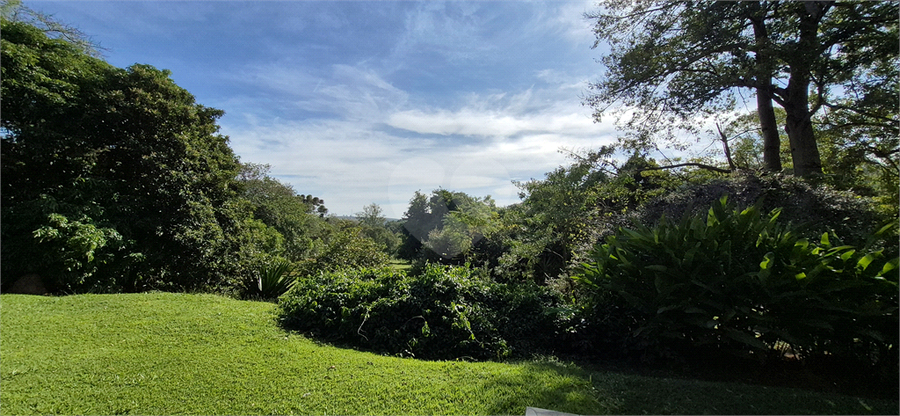 Foto REO1097705