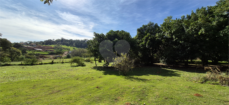 Foto REO1097705