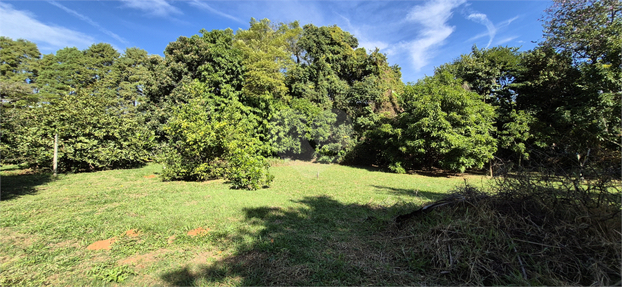 Foto REO1097705