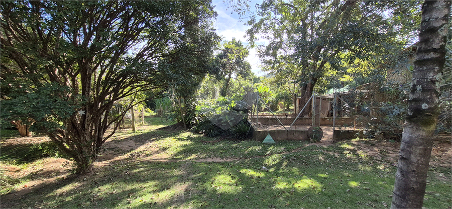 Foto REO1097705