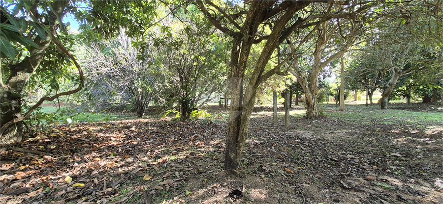 Foto REO1097705
