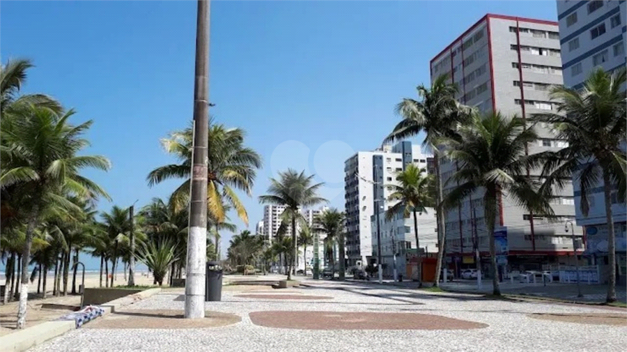 Foto REO1097720