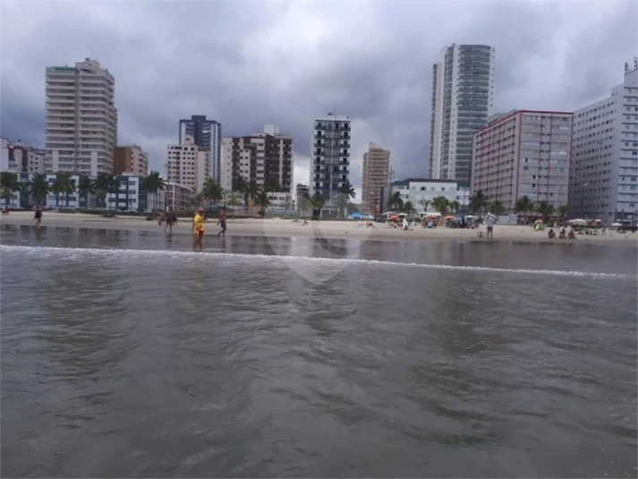 Foto REO1097720