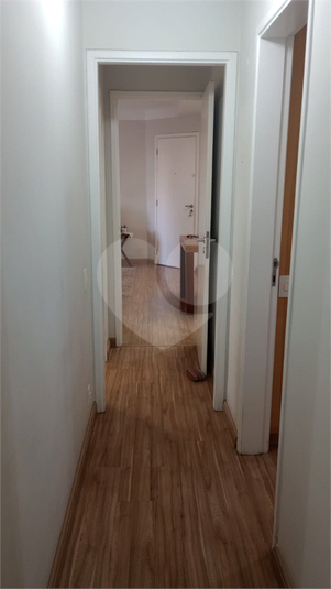 Foto REO1097730