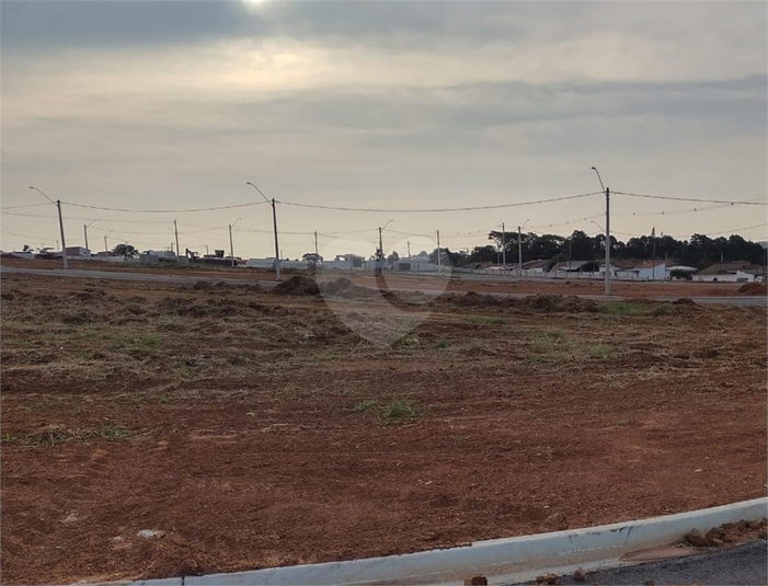Foto REO1097752