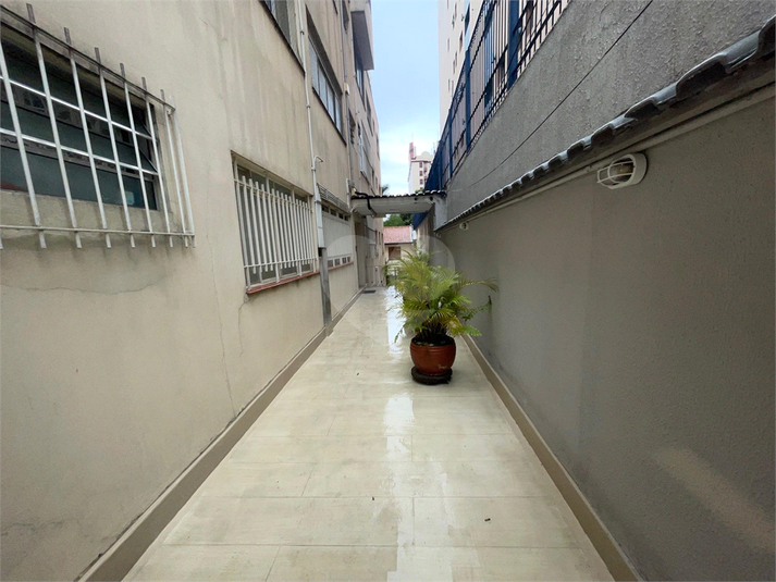 Foto REO1097754