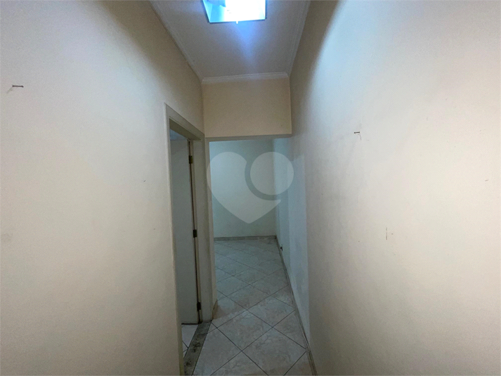 Foto REO1097754