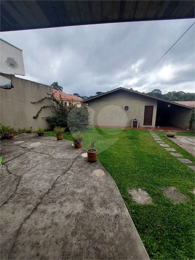 Foto REO1097772