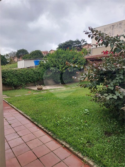 Foto REO1097772
