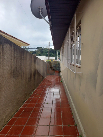 Foto REO1097772