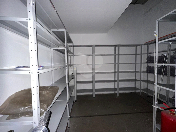 Foto REO1097781