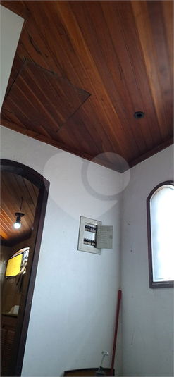 Foto REO1097785