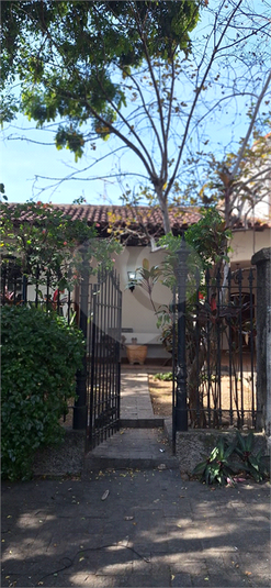 Foto REO1097785