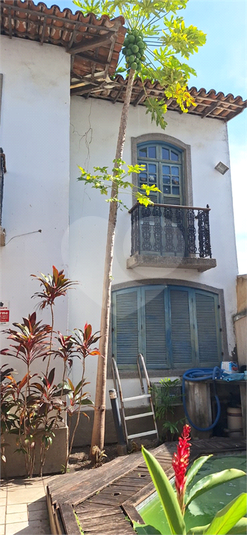 Foto REO1097785