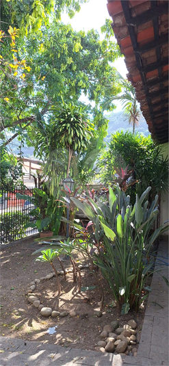 Foto REO1097785