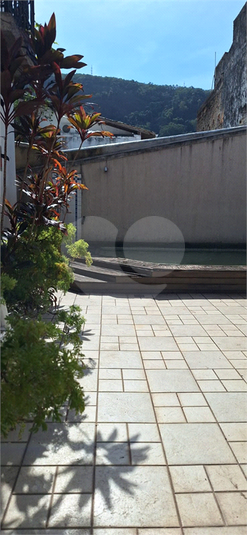Foto REO1097785