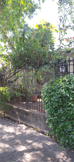Foto REO1097785
