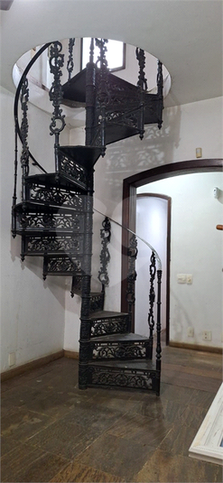 Foto REO1097785