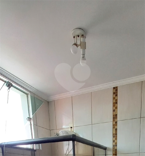 Foto REO1097794