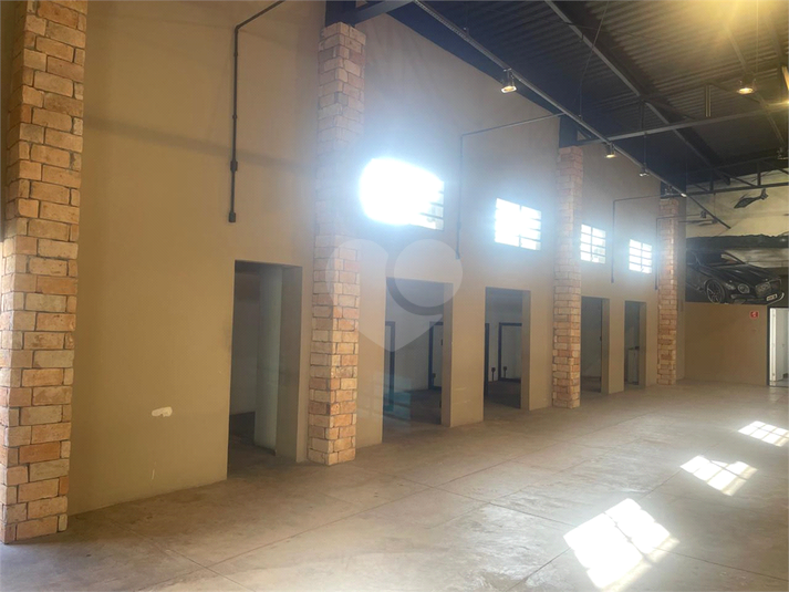 Foto REO1097795