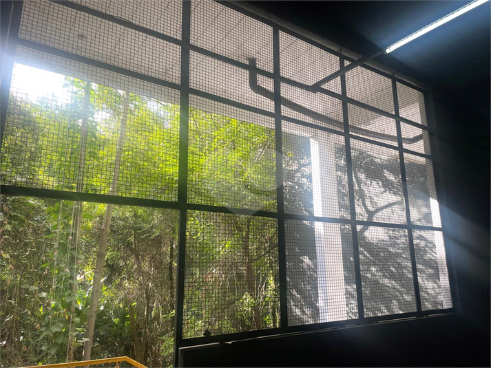 Foto REO1097795