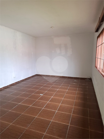 Foto REO1097796
