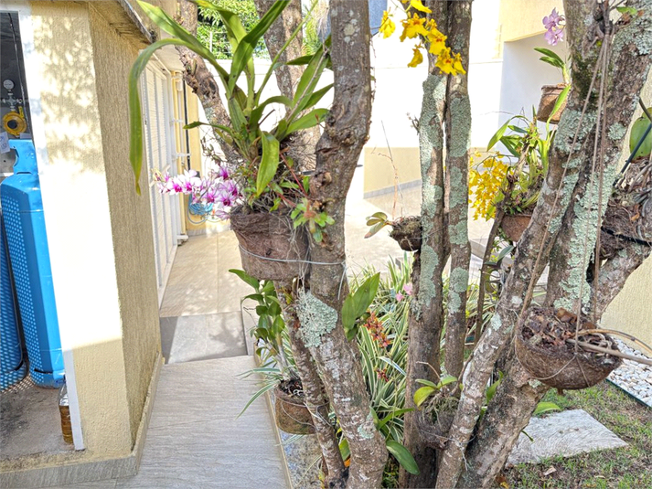 Foto REO1097800