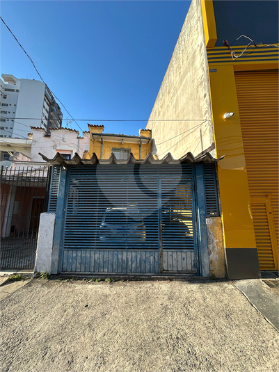 Foto REO1097804