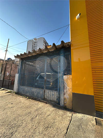 Foto REO1097804