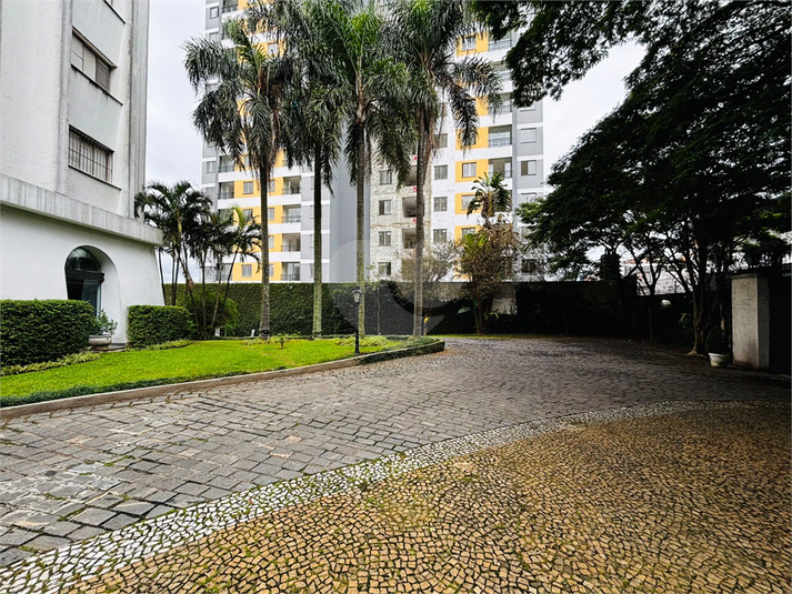 Foto REO1097815