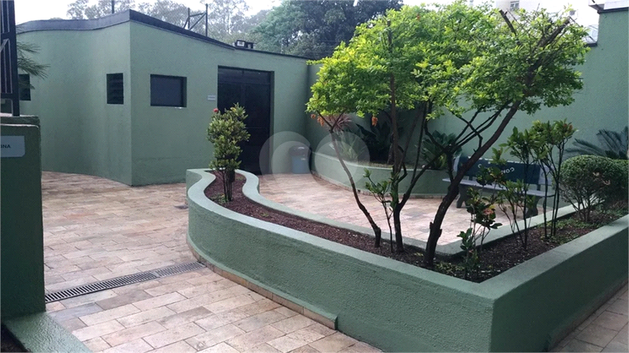 Foto REO1097819