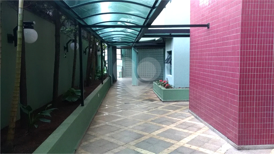 Foto REO1097819