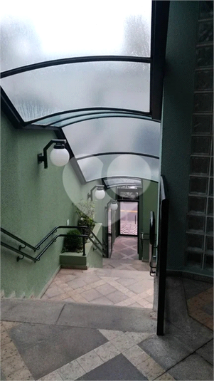 Foto REO1097819