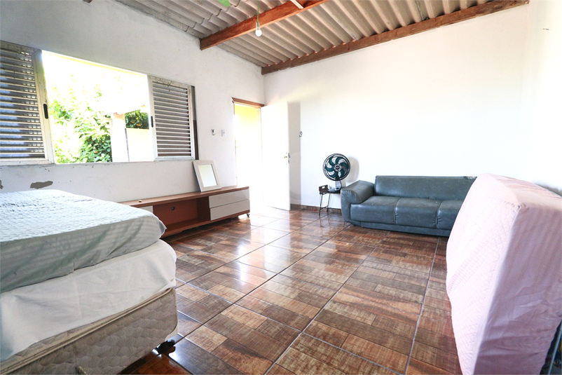 Foto REO1097822
