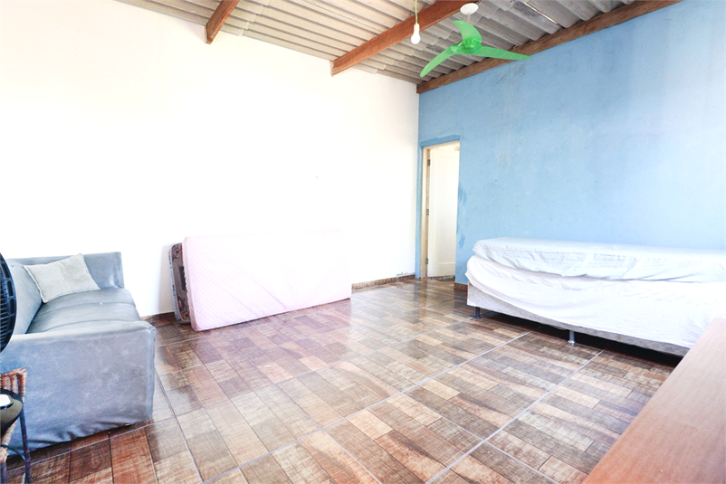Foto REO1097822