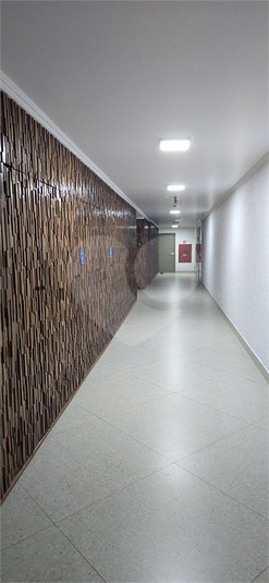 Foto REO1097825