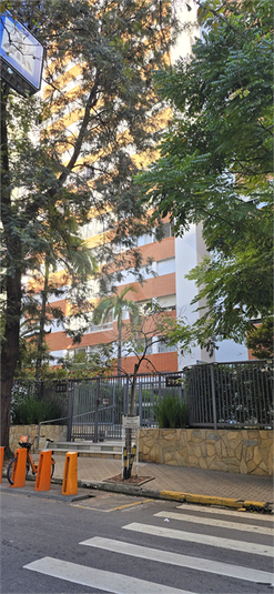 Foto REO1097825