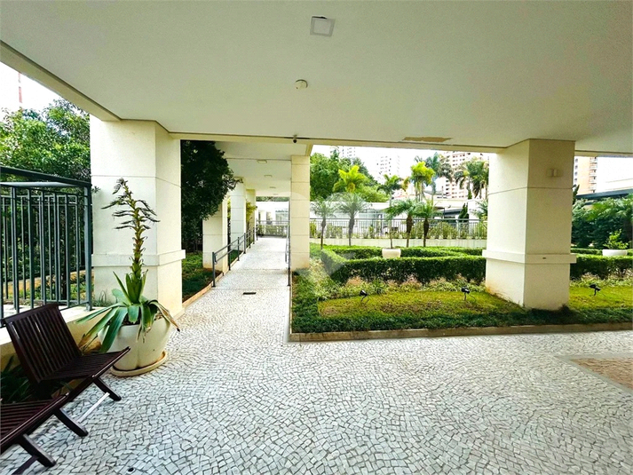 Foto REO1097829