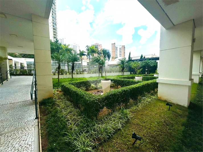 Foto REO1097829