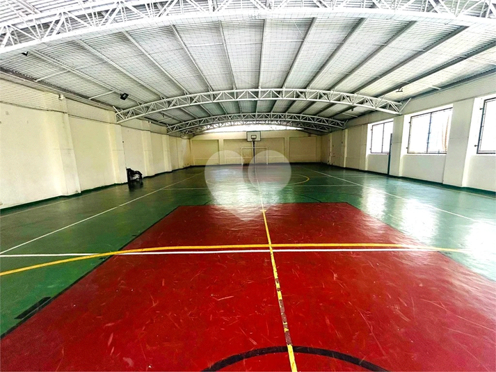 Foto REO1097829