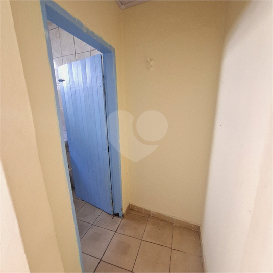Foto REO1097837