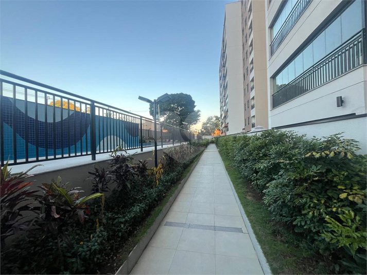 Foto REO1097838