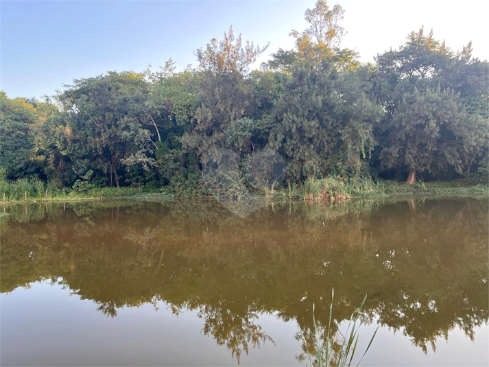 Foto REO1097838