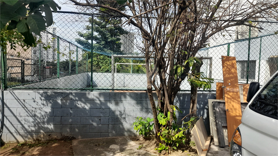 Foto REO1097849