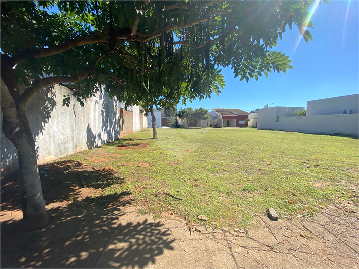 Foto REO1097851