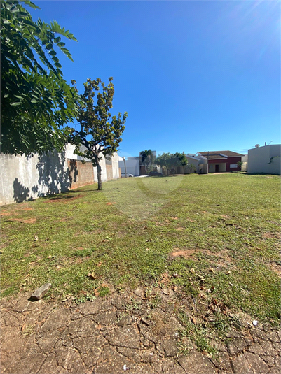 Foto REO1097851