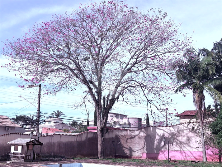 Foto REO1097852