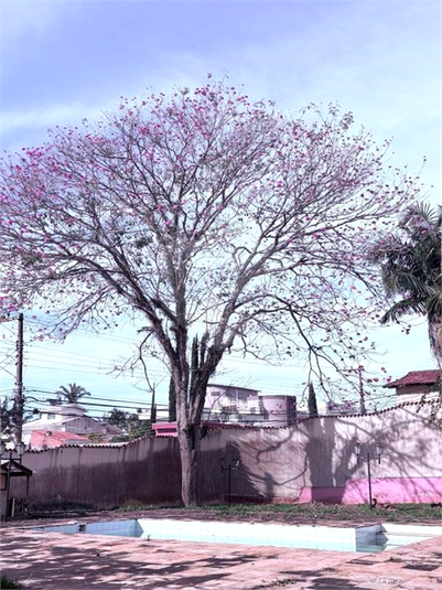 Foto REO1097852