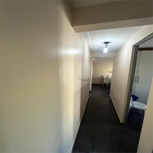 Foto REO1097858